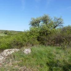 Horáčkův kopeček