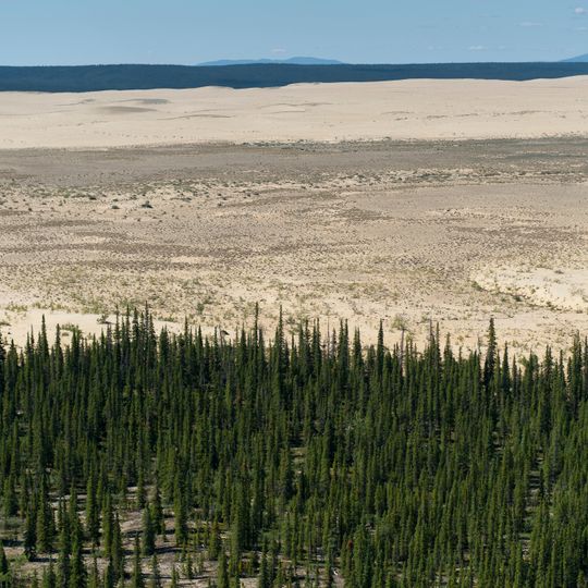 Great Kobuk Sand Dunes