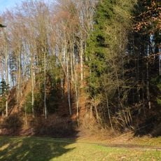 Burgrest Falkenstein