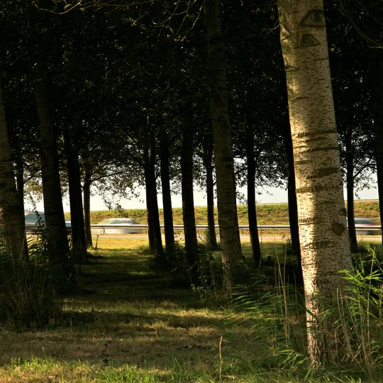 Terrein waarin sporen bewoning