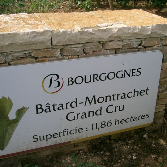 Bâtard-Montrachet