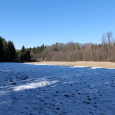 Sämanns- und Waschwiesen bei Seidenroth