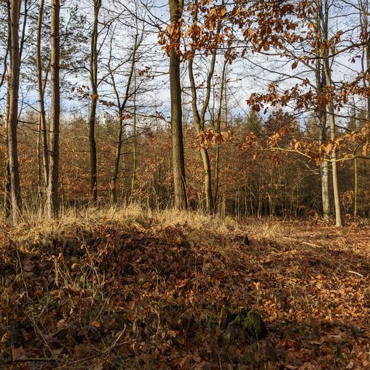 Slovanský mohylník