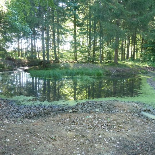 Hülben im Waldteil Eglisee
