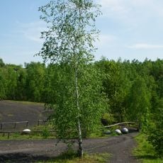 Wurmtal südlich Herzogenrath, einschließlich Meisbach, Würselen