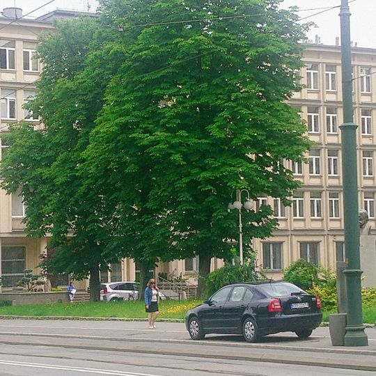 Oil and Gas Institute