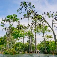 Isla de los Pájaros