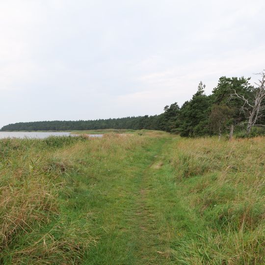 Nordrügensche Boddenlandschaft
