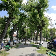 Cetății boulevard in Târgu Mureș
