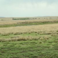 Bannière unie de Darhan Muminggan