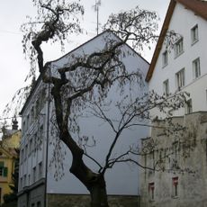 Jasan u Krombergerova pavilonu