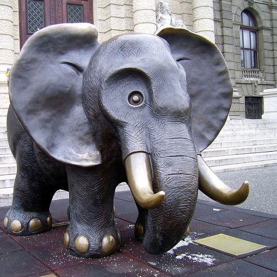 Elefant by Gottfried Kumpf