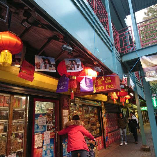 Qing Xiang Yuan Dumplings