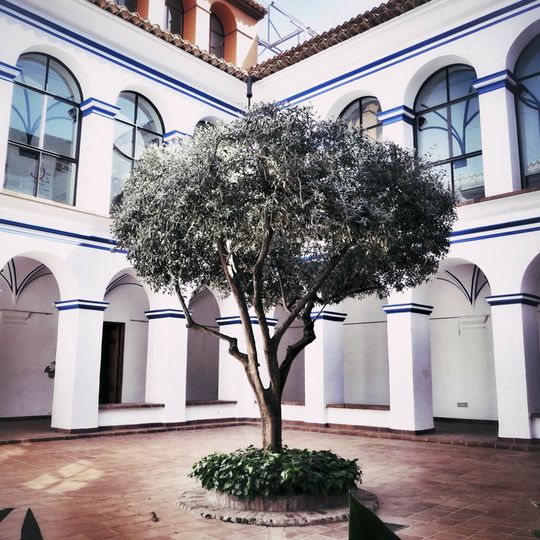 Church of the Convent of Saint Francis