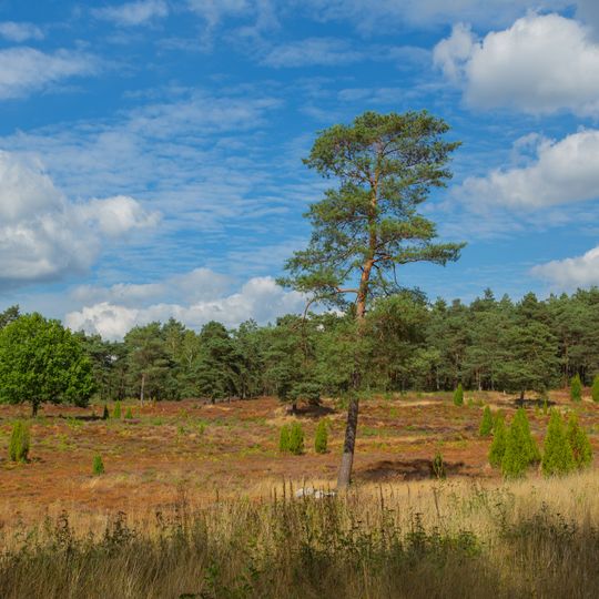 Gräberfeld Plaggenschale