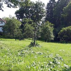 Kříž na návsi v Blaničce