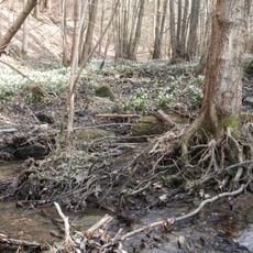 Údolí Chlébského potoka