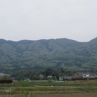Mount Kinoko