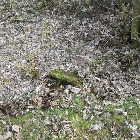 Kříž jihozápadně od Olbramova u rozcestí