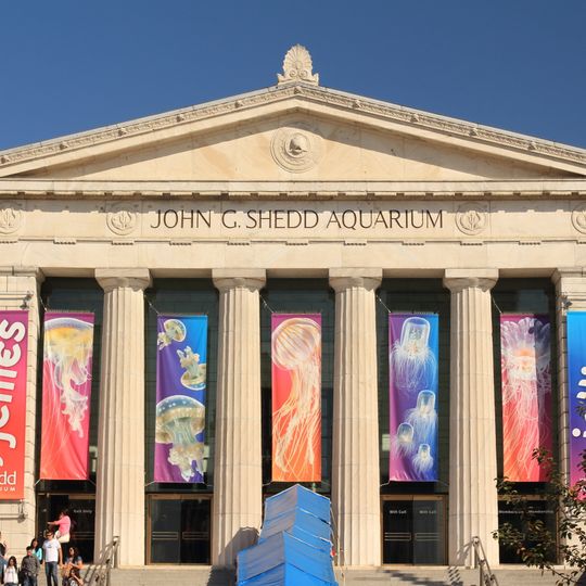 Shedd Aquarium
