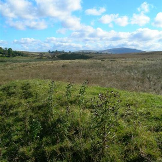 Airds Moss