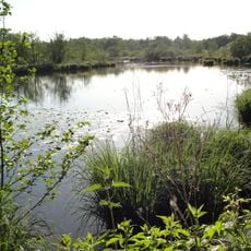 Réserve naturelle nationale de La Truchère-Ratenelle