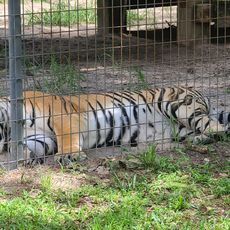 Tregembo Animal Park