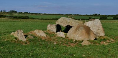 Immagine alternativa