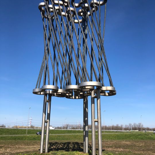 Can't see the Wood for the Trees