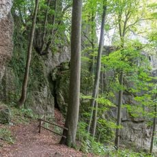 Felsen- und Hangwälder in der Fränkischen Schweiz