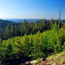 Ochoco National Forest