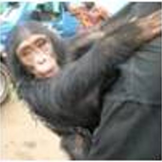 Gribingui Bamingui Faunal Reserve