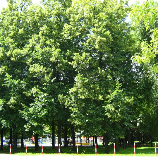 Maria Skłodowska-Curie Park in Warsaw
