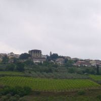 Mozzagrogna