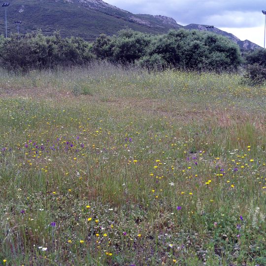 Dehesa Boyal de Puertollano