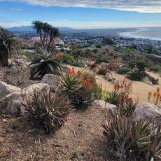 Ventura Botanical Gardens