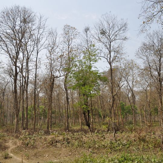 Bethuadahari Wildlife Sanctuary