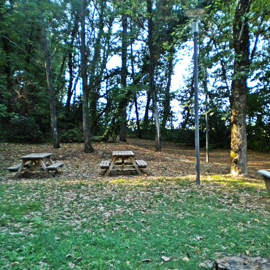 Bargo mediceo di Bonistallo