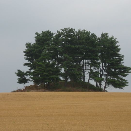 Circleville Township