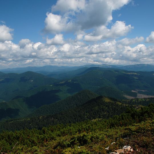 Stranzul, Zadnia, Kedryn