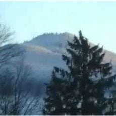 Zinnkopf