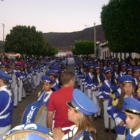 Palmas de Monte Alto