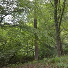 Orbishöhe von Auerbach und Zwingenberg