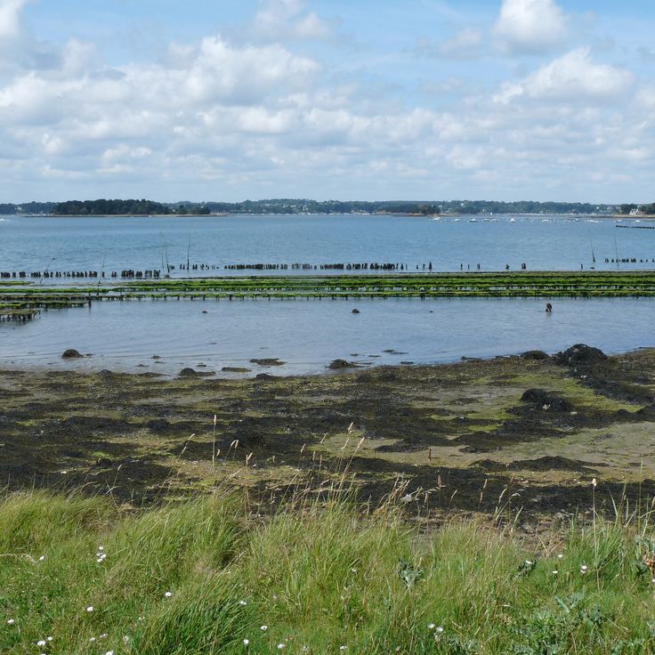 Gulf of Morbihan Regional Natural Park