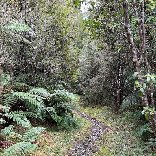 Haast to Paringa Cattle Track