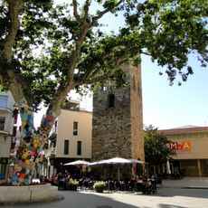 L'Arbre de la Llibertat