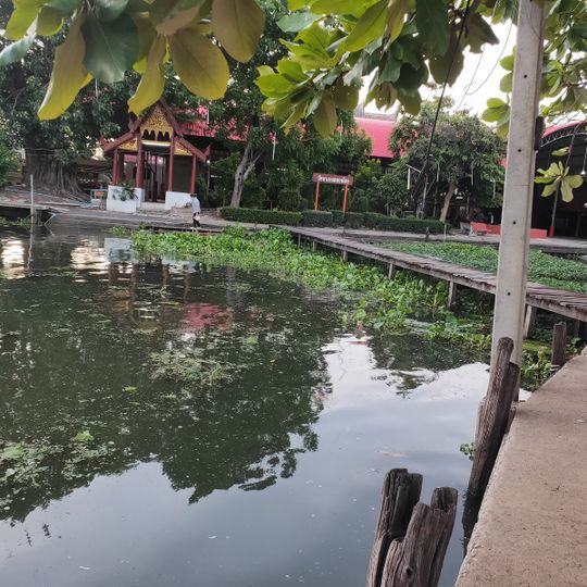 Wat Nong Song Hong