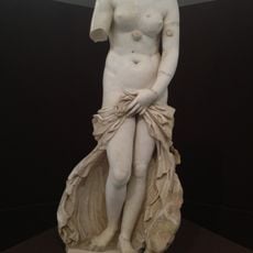 Venus Landolina