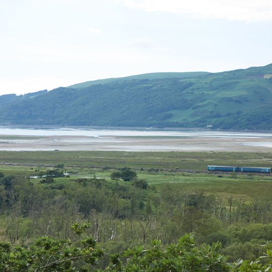 Ynys-hir RSPB reserve