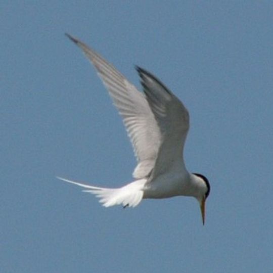 Naree Budjong Djara National Park